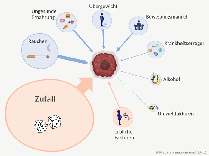 Krebsursachen, © Krebsinformationsdienst, DKFZ; erstellt mit BioRender.com Risikofaktoren für Krebs nach Wichtigkeit